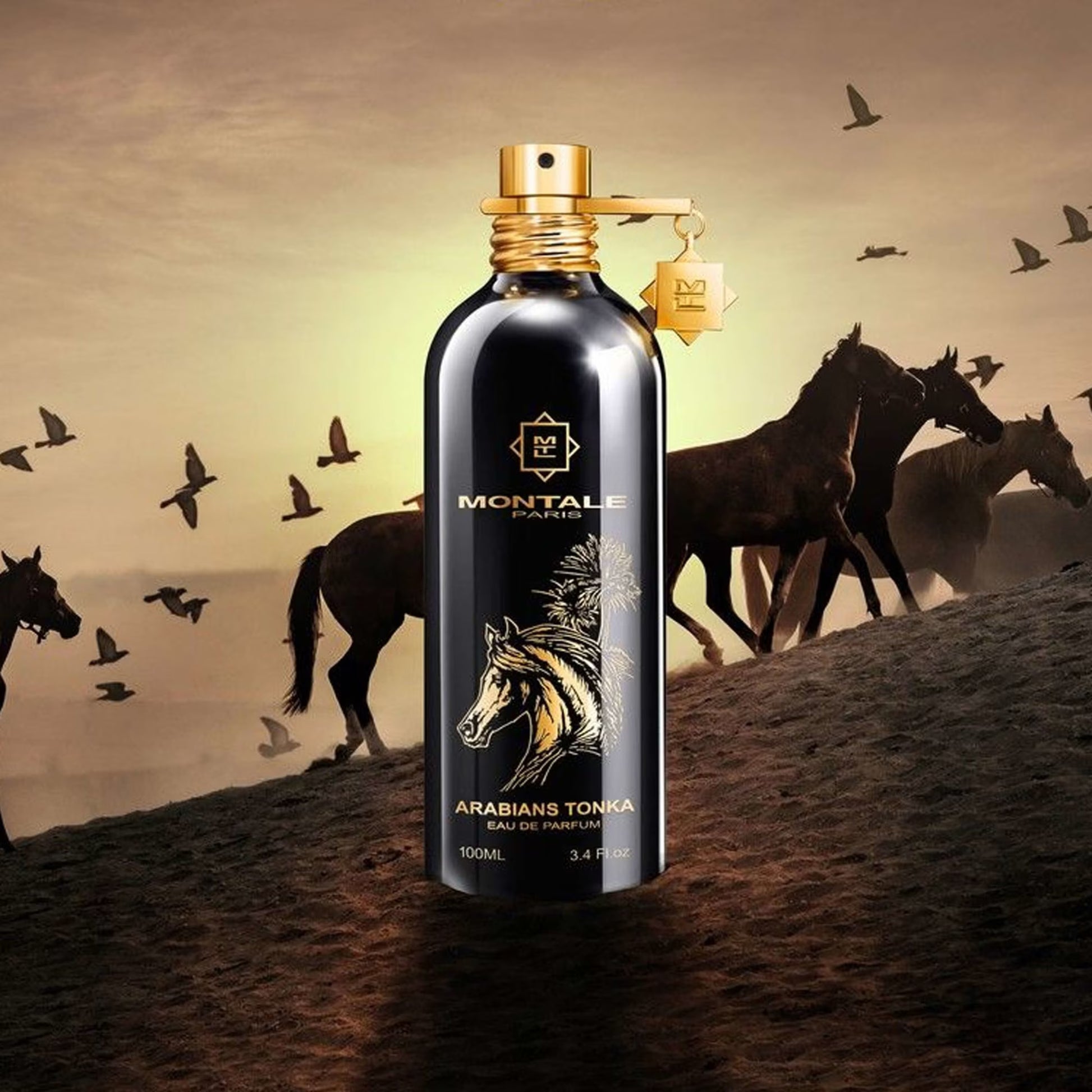 Arabians Tonka