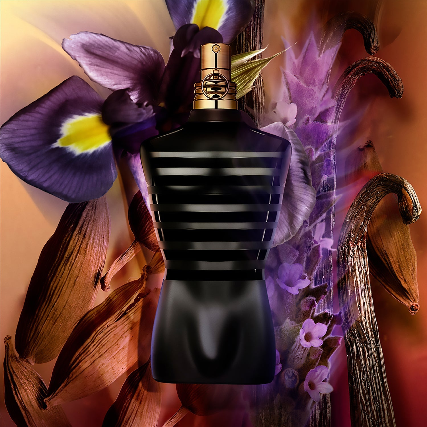 Le Male Le Parfum - FRAGRANCE FLEET